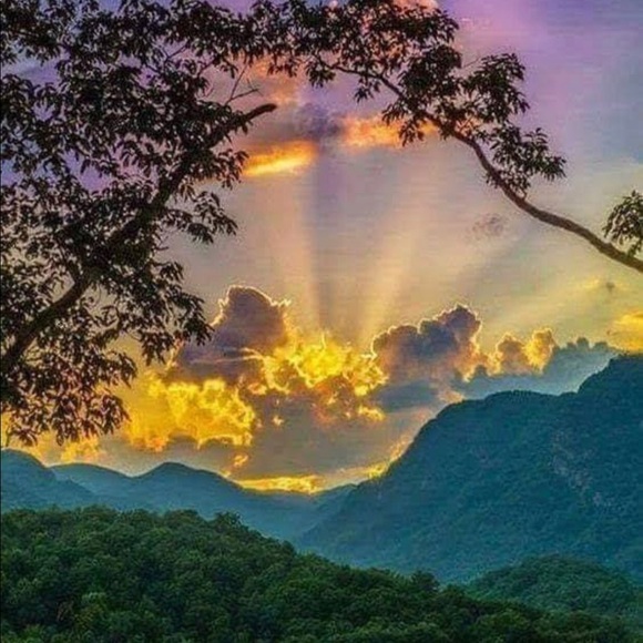 Meet your Posher, Sherrie - Picture 1 of 1